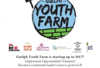 Guelph-YF-Poster-REV-May-1-LO